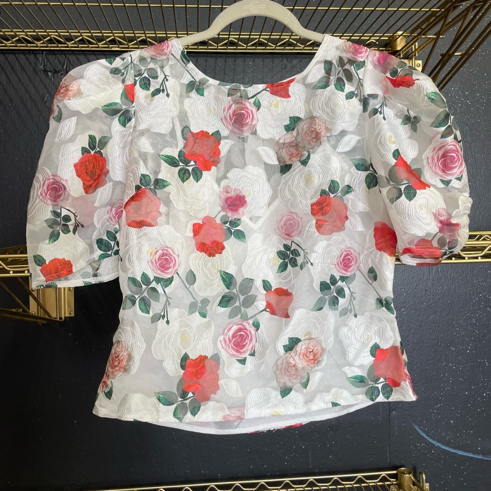 Sheer puff sleeve blouse size large